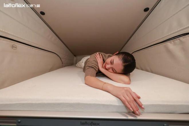 +乐德飞翼=户外移动睡眠美术馆？不朽情缘跨界审美实验：奔驰露营车(图6)